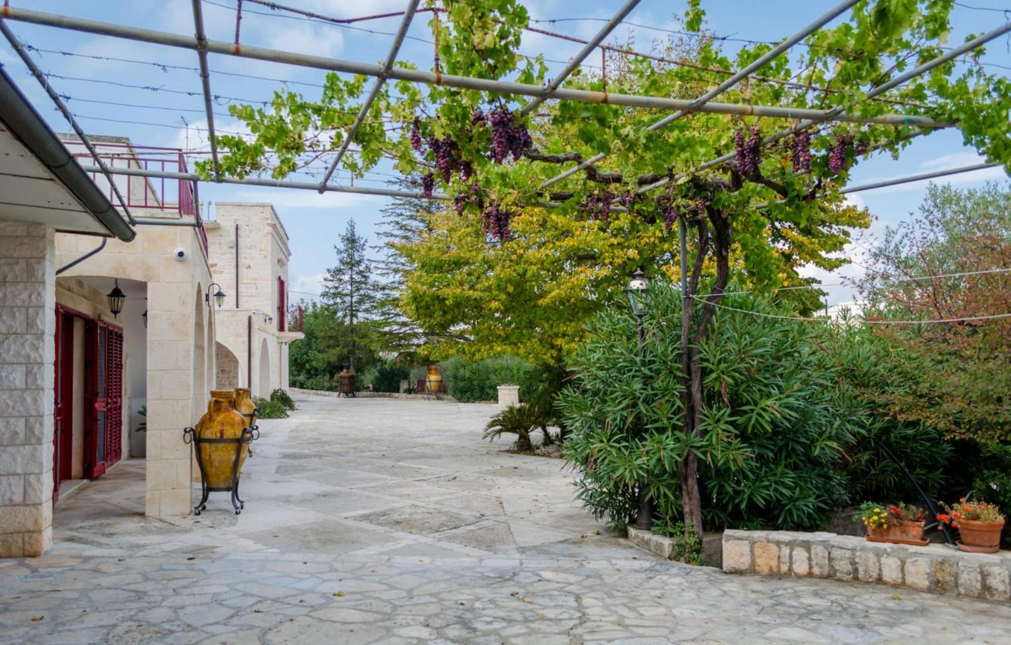 Masseria Trulli Bruni Locorotondo Eksteriør bilde